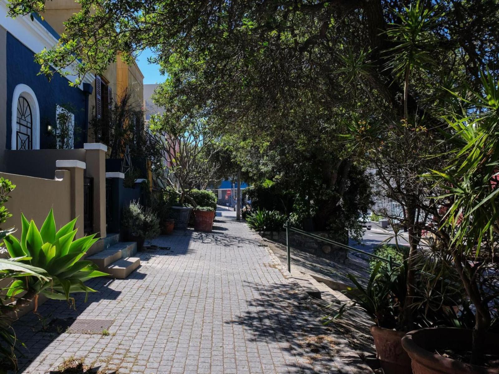 Purple House Accommodations Cape Town Ngoại thất bức ảnh